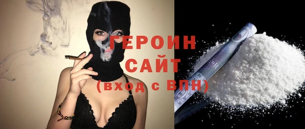 СК Алексин