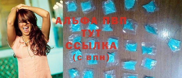 СК Алексин