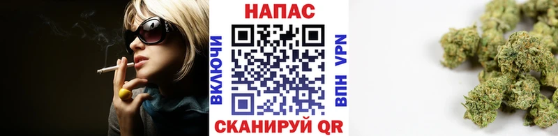 как найти наркотики  Ахтубинск  Канабис индика 